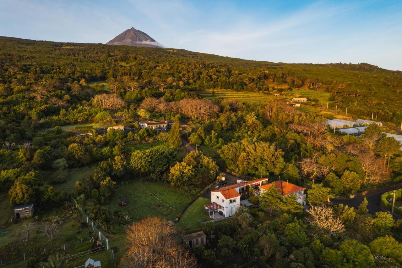 Quinta Das Almas Villa São Roque do Pico Exteriör bild